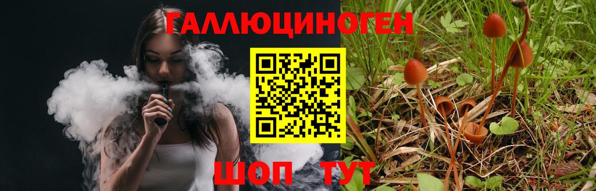 Псилоцибиновые грибы Magic Shrooms  Вход с VPN  Саянск 